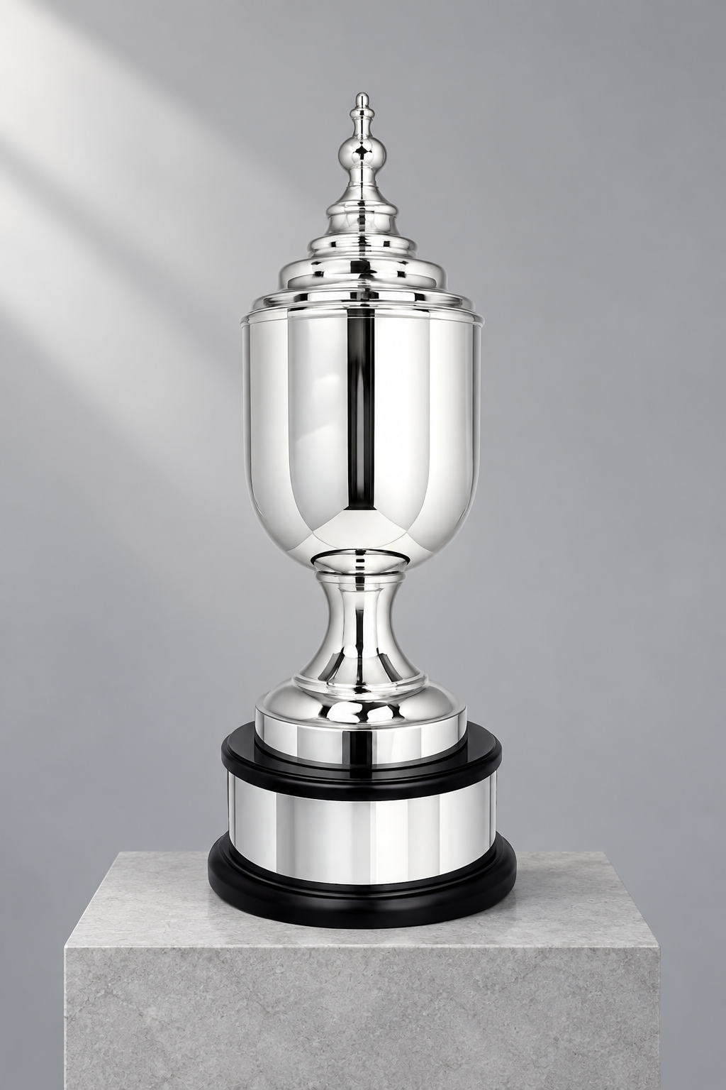 WS 6243 Signature Prestige Cup studio visualisation